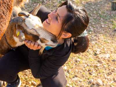 Giungiamo ora davanti all�ovile. A correre incontro a Valentina � il capretto Pasqualino, cos� chiamato in ricordo del giorno in cui venne salvato dal macello